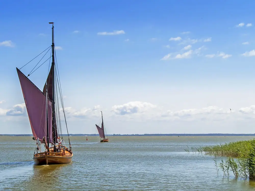 Zeesboot mit rotbraunem Segel vor dem Schilf