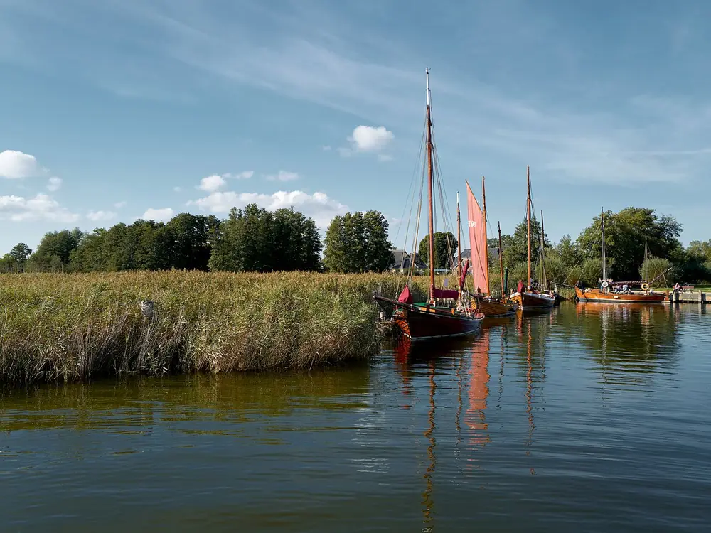 Zeesboote zwischen Schilf am Bodden