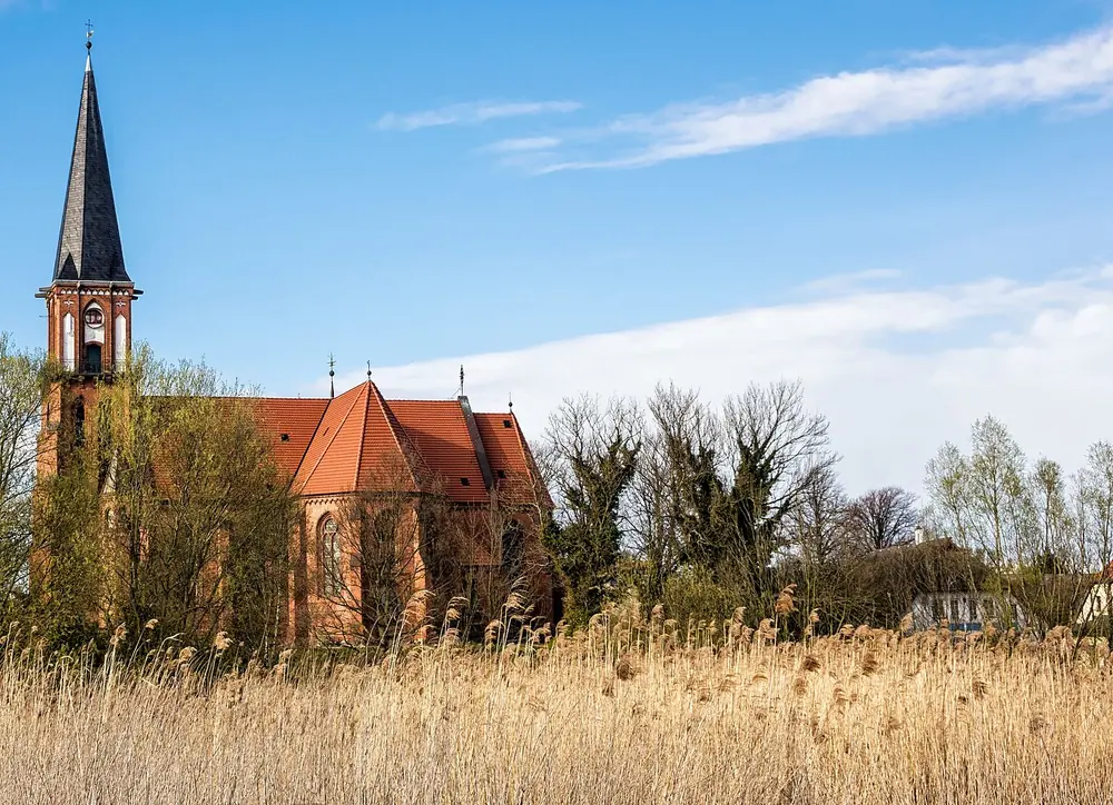 Kirche Wustrow mit Turm über Schilf und Bäumen