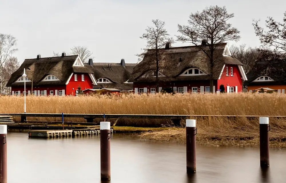 Rote Rohrdachhäuser hinter dem Schilf am Hafen