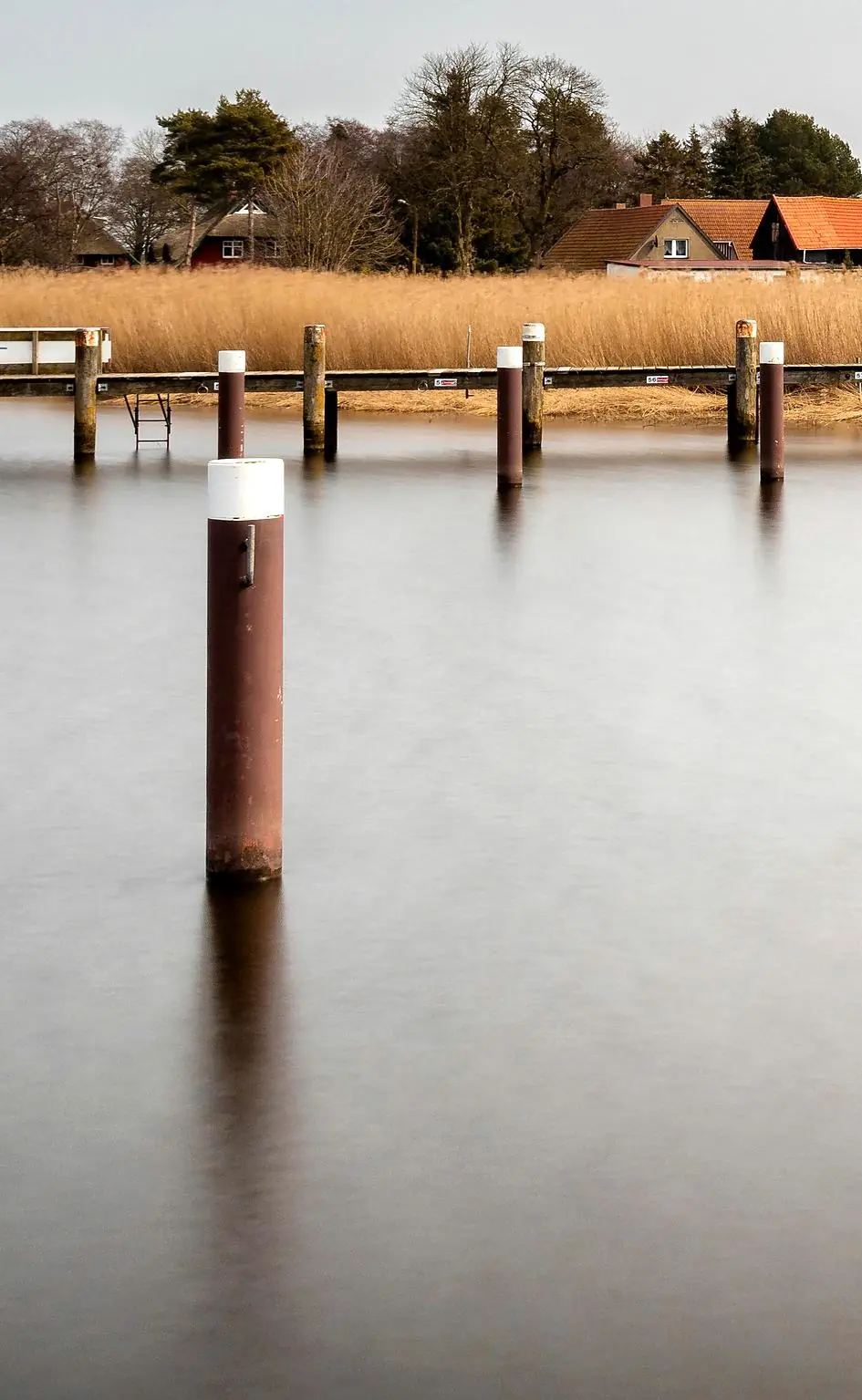 Einzelner Dalben spiegelt sich im ruhigen Wasser