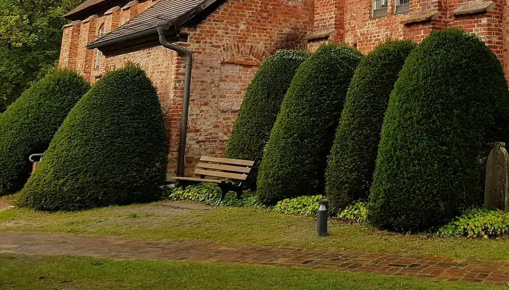 Geschnittene Eiben und Kreuz vor der Kirche