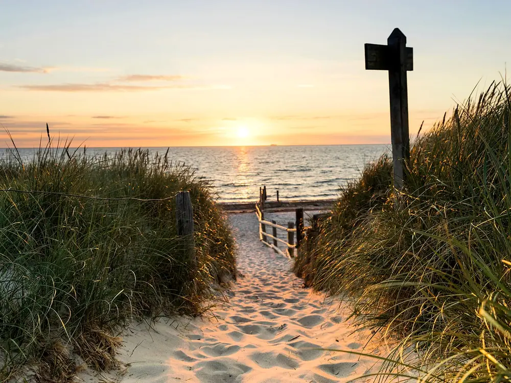 Dünenweg zum Strand bei Sonnenuntergang
