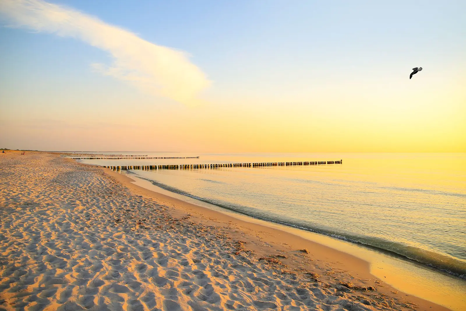 Sandstrand von Wustrow mit Buhnen im Morgenlicht