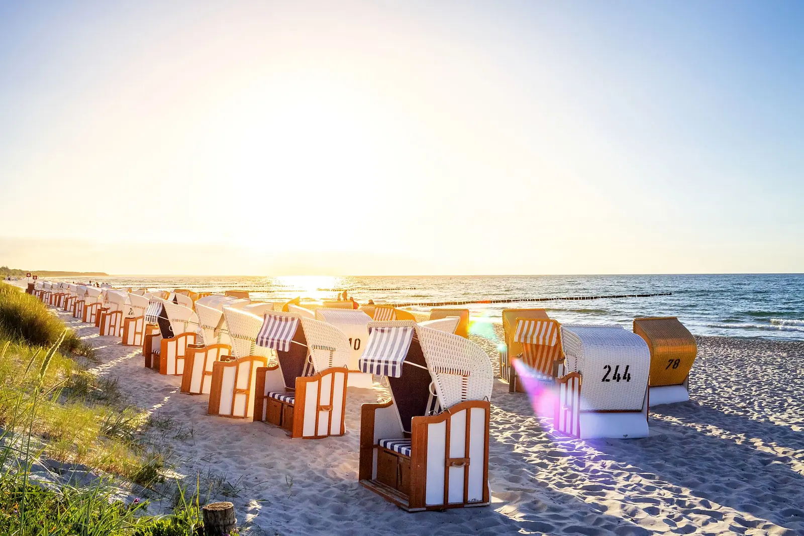 Strandkörbe in der Morgensonne am Strand von Zingst