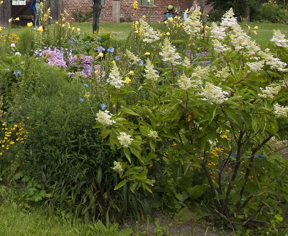 Blühender Bauerngarten vor einem Rohrdachhaus